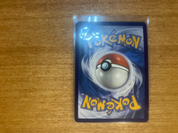 Sprigatito 191 Stamped Promo Pokemon Horizons Grand Adventure Collection NM - Image 2