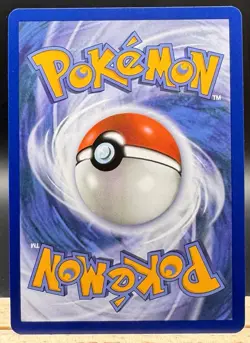 First Partner Series 1 IR Alola Set (3 Cards) 43, 44, 45 Promo Pokemon TCG NM - Image 5