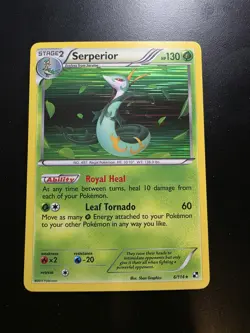 Serperior 6/114 Black and White Holo Rare Pokemon Card - NM - Image 1