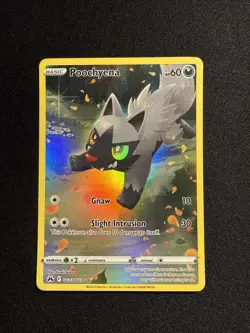 Poochyena GG33/GG70 Holo Rare Crown Zenith Pokemon TCG - Image 1