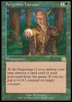 Forgotten Harvest - Light Play MTG Prophecy - Image 1