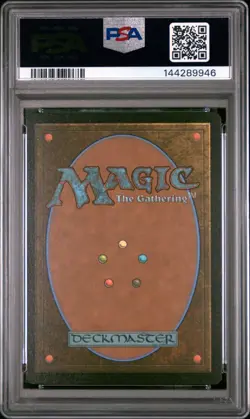 2025 MTG EDGE OF ETERNITIES VIEWPORT BORDERLESS #0279 EVENDO, WAKING HAVEN PSA 9 - Image 2