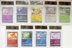 Pokemon CHN Eevee & All Evolutions: 9x Graded Card Lot 10/9.5/9 Mint AB78 - Image 1