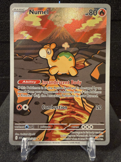 2026 | Pokemon Ascended Heroes | Numel Illustration Rare | 223/217 - Image 1