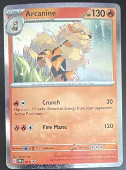Pokemon Arcanine Black Star Promo Holo Sv: Scarlet & Violet 011 - Image 1