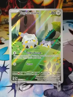 Pokemon TCG Togedemaru 104/094 Illustration Rare Phantasmal Flames NM - Image 1