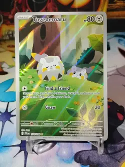 Pokemon TCG Togedemaru 104/094 Illustration Rare Phantasmal Flames NM - Image 2