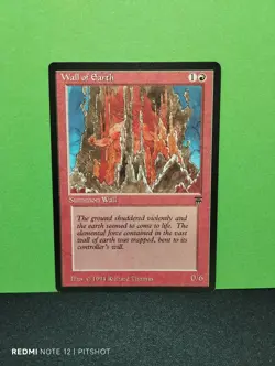 EN Wall of Earth - MTG Magic - Image 1