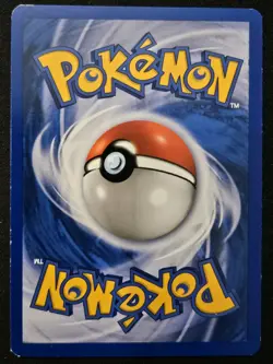 1st Edition Sentret 71/111 Neo Genesis WoTC Pokemon Trading Card Game 2000 NM/LP - Image 2
