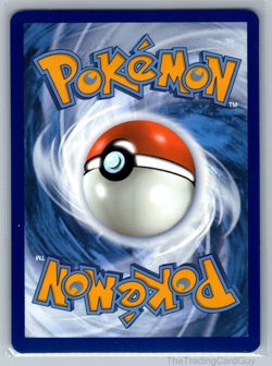 Phanpy 205/191 IR Illustration rare Pokemon Card Surging Sparks SV8 NM 002 - Image 2