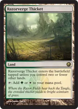 1x Razorverge Thicket Heavy Play MTG Magic - Kid Icarus - - Image 1
