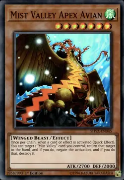 Mist Valley Apex Avian - Super Rare 1st Edition SHVA-EN045 - LP - YuGiOh - Image 1