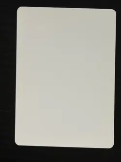 Magic MTG Italian Revised Soul Net Artist Proof Near Mint - Only 50 Made! - Image 2