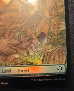 Forest (Full Art) 0278 Foil Land Lorwyn Eclipsed Magic: The Gathering - Image 5