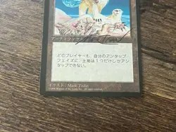 FBB Japanese Winter Orb Fourth Foreign Black Border Revised MTG Artist SIGNED - Image 3