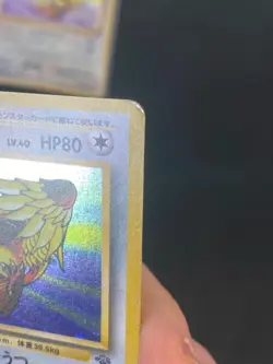 JAPANESE POKEMON PIDGEOT No.018 HOLO WIZARDS JUNGLE ROUCARNAGE - G/VG - Image 3