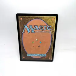 Plains (0262) 262 Land Bloomburrow Magic: The Gathering Foil Lightly Played - Image 2
