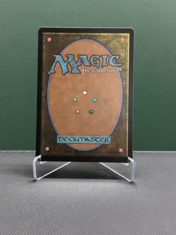 Temporal Manipulation The List Reprints Regular - Image 2