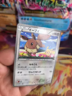 Pokemon Karte Card Holo Pikachu & Eevee BW Promo Seven Eleven japanese VG - Image 3