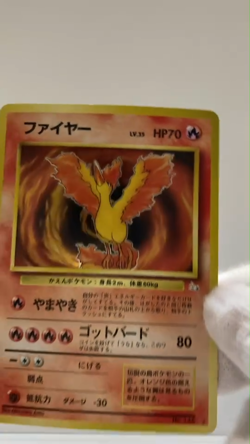Moltres Set of 3 Blaine's Rocket's No.146 Old Back Pokemon card Japanese #1804 - Image 2