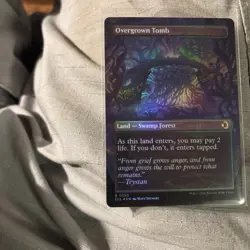 Overgrown Tomb (Borderless) Lorwyn Eclipsed Foil - Image 2