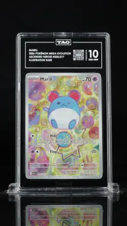 TAG 10 2026 POKEMON ASCENDED HEROES ILLUSTRATION RARE MARILL #232 - Image 1