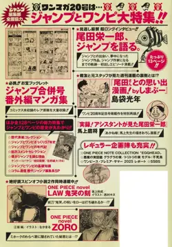 One Piece Magazine Vol.20 Shonen Jump Monkey D Luffy Promo ST21-014 - Image 2