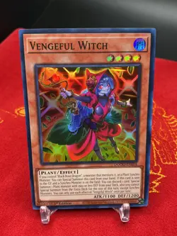 Vengeful Witch DOOD-EN004 Yugioh Doom of Dimensions LP - Image 1