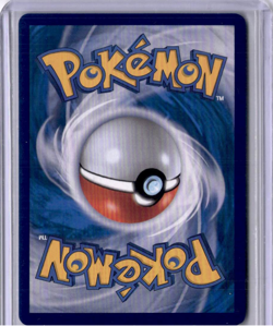 #118/108 - PIDGEY - HOLO - RULER OF THE BLACK FLAME - POKEMON - KOREAN - Image 2