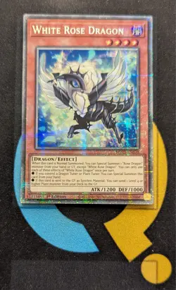 MP25-EN038 White Rose Dragon Starlight Rare 1st Edition YuGiOh - Image 1
