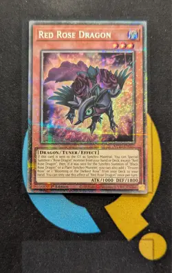MP25-EN037 Red Rose Dragon Starlight Rare 1st Edition YuGiOh - Image 1
