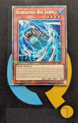 MP25-EN012 Surfacing Big Jaws Starlight Rare 1st Edition YuGiOh - Image 1