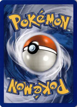 Swinub 108/144 - Skyridge - Pokemon - NM - Image 2