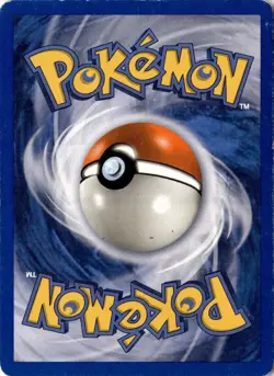 Ursaring 110/144 - Skyridge - Pokemon - MP - Image 2
