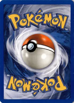 Ursaring 110/144 - Skyridge - Pokemon - LP - Image 2