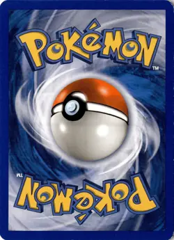 Swinub 108/144 - Skyridge - Pokemon - LP - Image 2