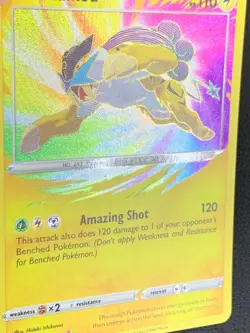 Raikou 050/185 Amazing Rare Holo Vivid Voltage Pokemon [10] - Image 2