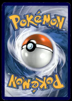 Chespin XY01 Fennekin XY02 Froakie XY03 JUMBO Black Star Promo Pokemon Card - Image 5