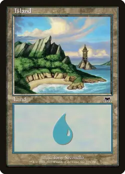 Island (335) Onslaught NM Basic Land MAGIC THE GATHERING MTG CARD ABUGames - Image 1