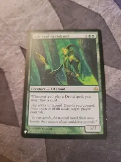 mtg, Gilt-Leaf Archdruid Morningtide Regular NM - Image 1