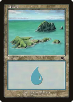 Island (336) Onslaught NM Basic Land MAGIC THE GATHERING MTG CARD ABUGames - Image 1