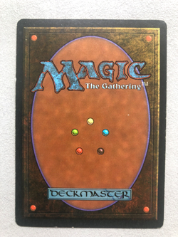 Mtg Carte Magic Fbb Foreign Black border Fork French MP - Image 2