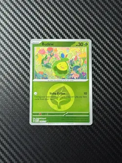 Pokemon TCG - Budew (Energy) Reverse Holo 016/217 Ascended Heroes - Image 1
