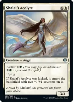 Shalai's Acolyte FOIL Dominaria United NM White Uncommon MAGIC MTG CARD ABUGames - Image 1