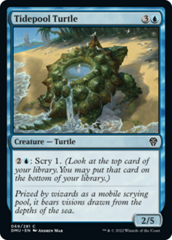 Tidepool Turtle FOIL Dominaria United NM Blue Common MAGIC MTG CARD ABUGames - Image 1