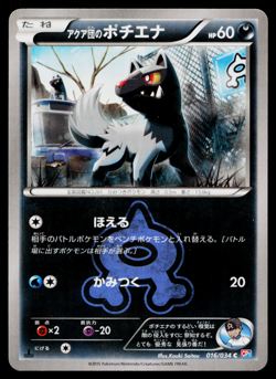 TEAM AQUA'S POOCHYENA 016/034 MAGMA VS AQUA DOUBLE CRISIS JAPANESE POKEMON TCG - Image 1