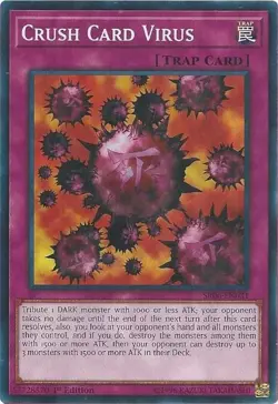 Crush Card Virus - SR06-EN031 - NM/VLP - Common - 1st ed - Yugioh - Image 1