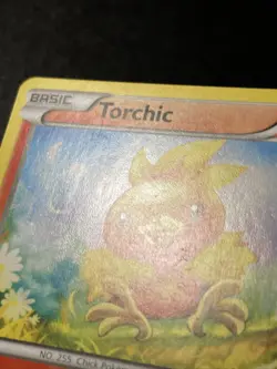 Torchic - 25/160 - Common Heavy Played, English Pokemon Primal Clash - Image 5
