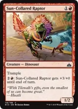 Sun-Collared Raptor NM, English MTG Rivals of Ixalan - Image 1