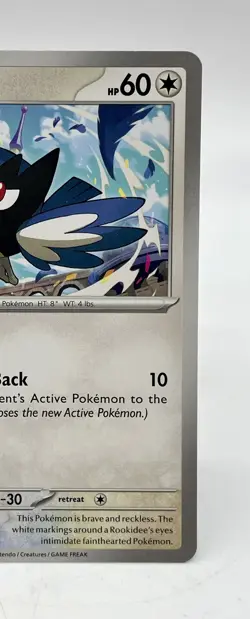 Rookidee 164/193 Common Paldea Evolved Non-Holo Pokemon TCG Mint Unplayed - Image 3